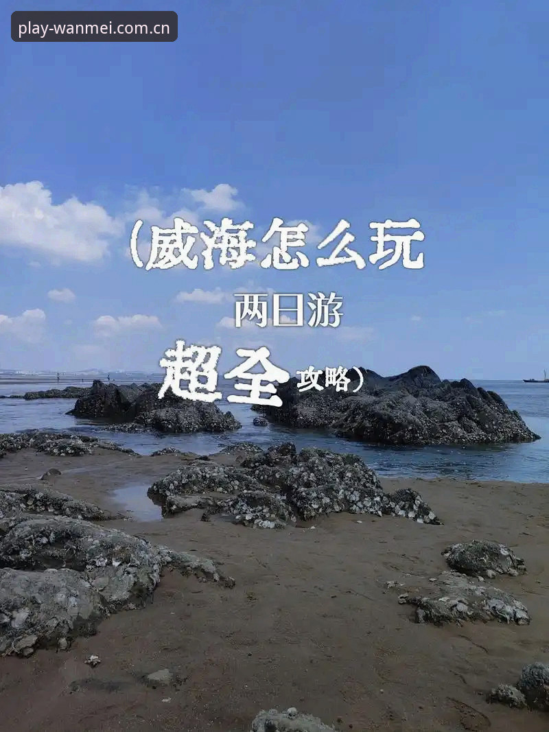 深度揭秘完美体育下载通道：新手必看的官方版本获取全攻略