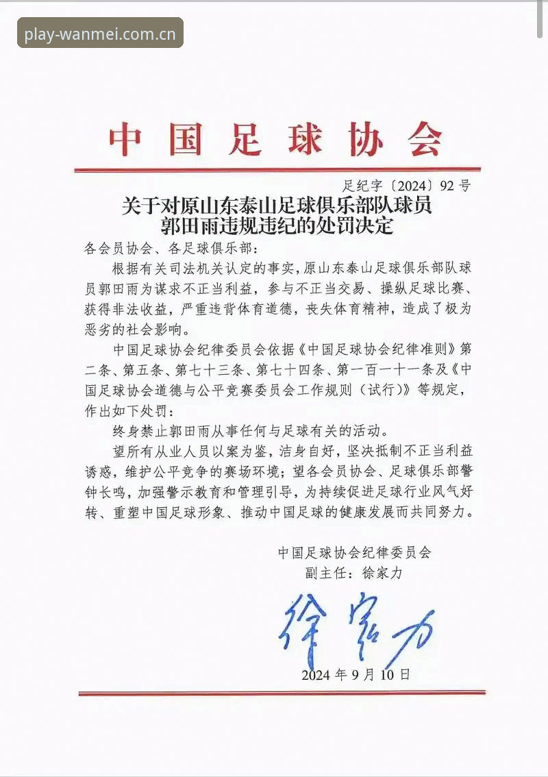 足协第三批禁足名单详解：从行业整顿看足球生态净化